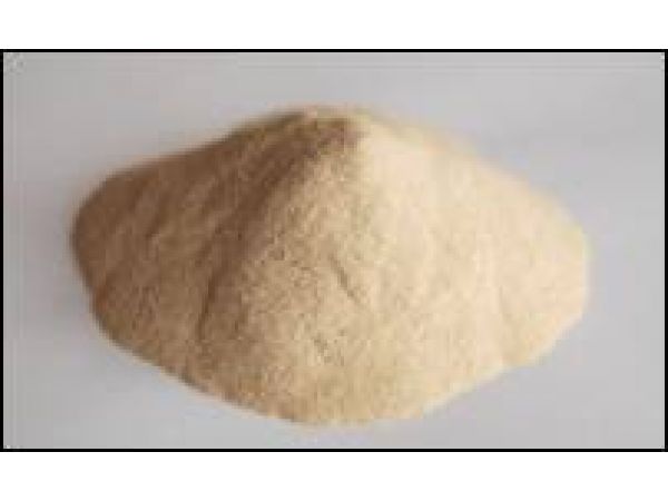 AGAR AGAR (Gelidium) 1 kg