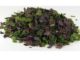 SALADE OCEANE BIOLOGIQUE (taille épices 1 à 4 mm) 5 kg 