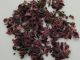 SALADE OCEANE BIOLOGIQUE (taille standard 4 à 6 mm) 5 kg 