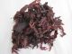 DULSE BIOLOGIQUE Taille épices 3 à 5 mm (Palmaria palmata) 200g
